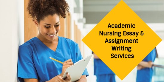NUR 649E Nursing Education Seminar II Essay Assignments